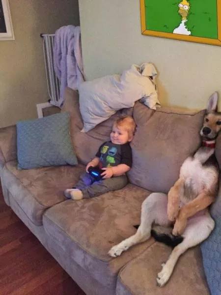 Look twice pictures - #17 