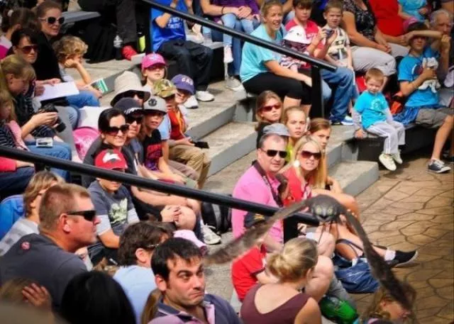 Look twice pictures - #38 