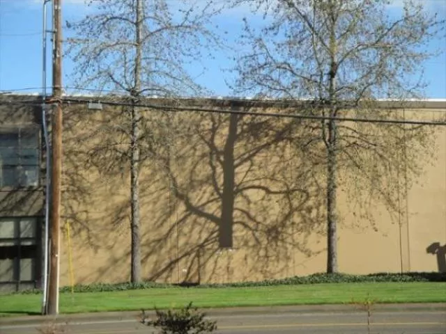 Look twice pictures - #45 