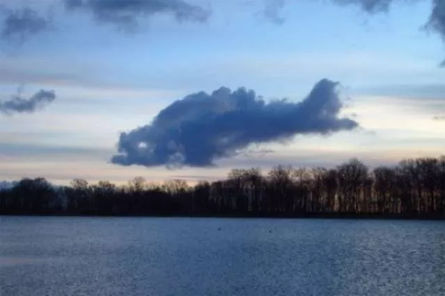 Regarder deux fois ces images - #47 