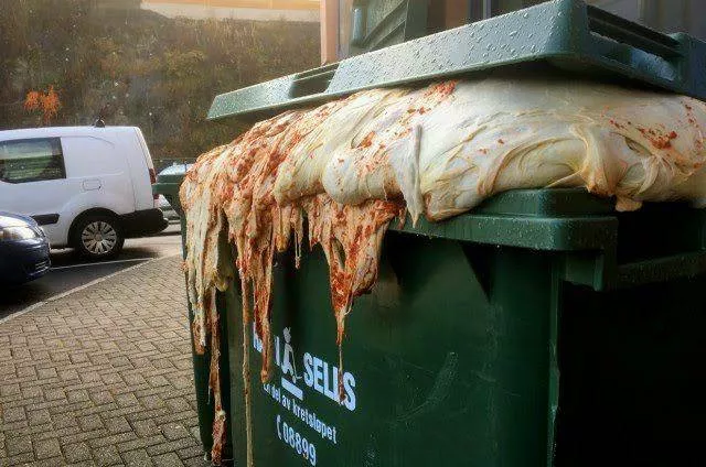 Les photos les plus bizarres au monde - #13 