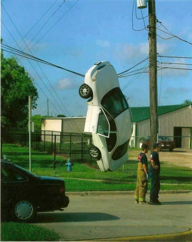 The weirdest pictures in the world - #19 