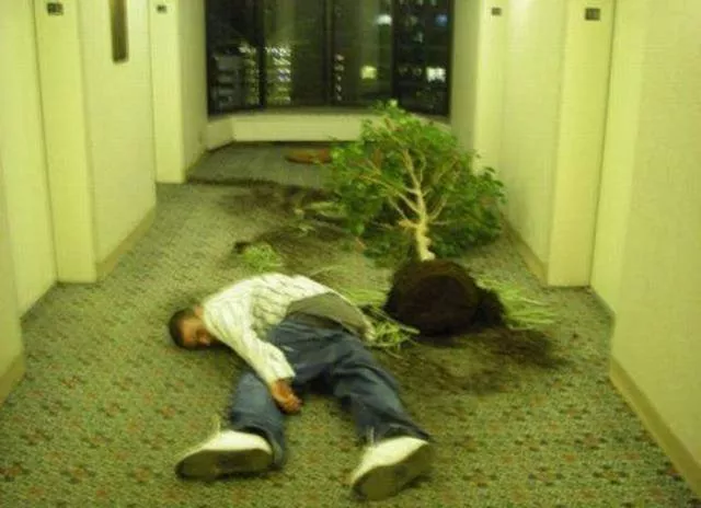 The weirdest pictures in the world - #27 