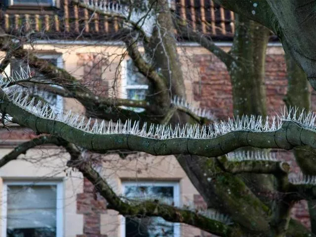 The weirdest pictures in the world - #41 