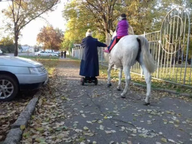 The weirdest pictures in the world - #46 