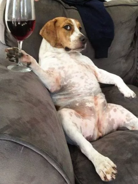 Picdump 214 - #10 