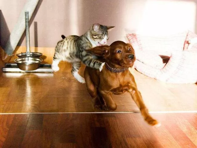 Picdump 47 - #4 
