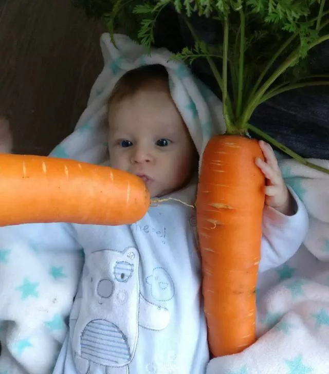 Picdump 215 - #25 