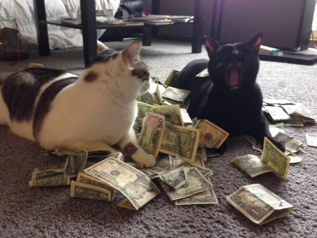 Picdump 215 - #49 