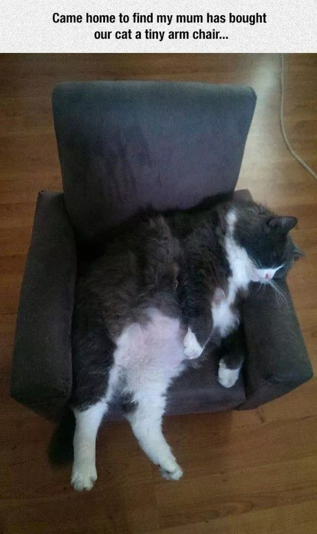 Picdump 215 - #9 Picdump 215 - #9