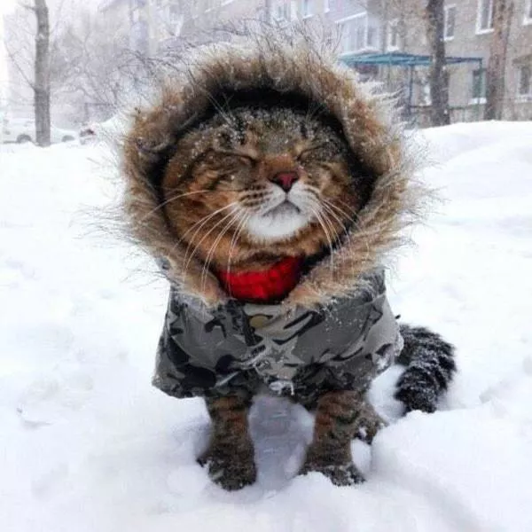 Best pictures ever - #13 
