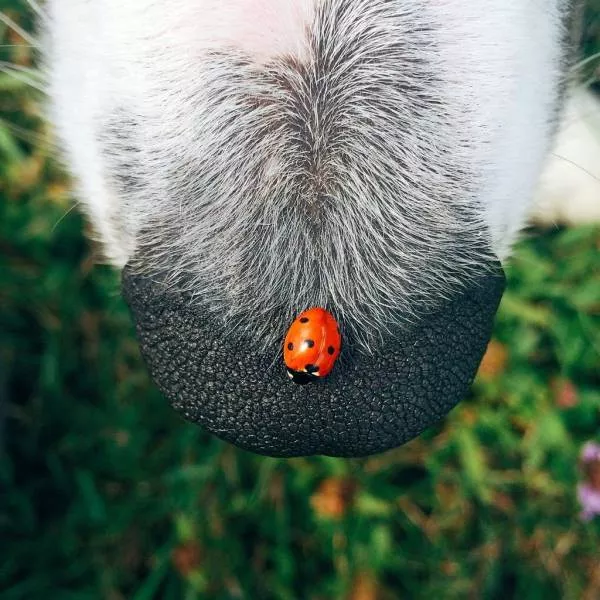 Best pictures ever - #16 