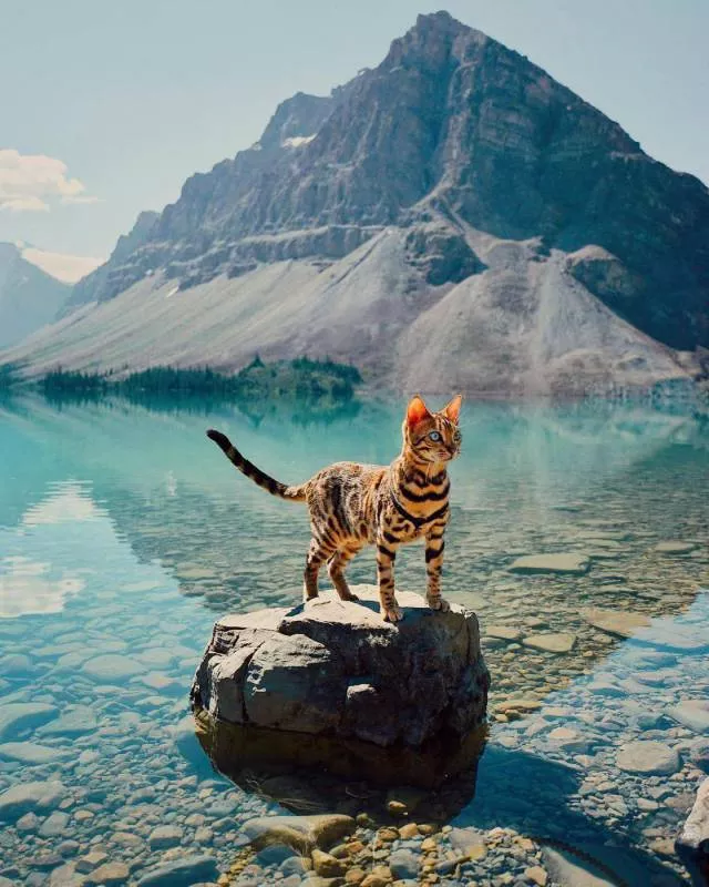 Best pictures ever - #19 