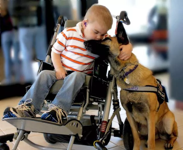 Best pictures ever - #20 