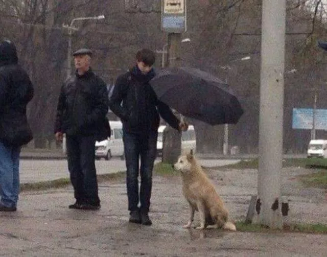 Best pictures ever - #22 