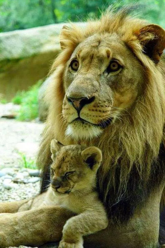 Les meilleures photos jamais vu - #23 