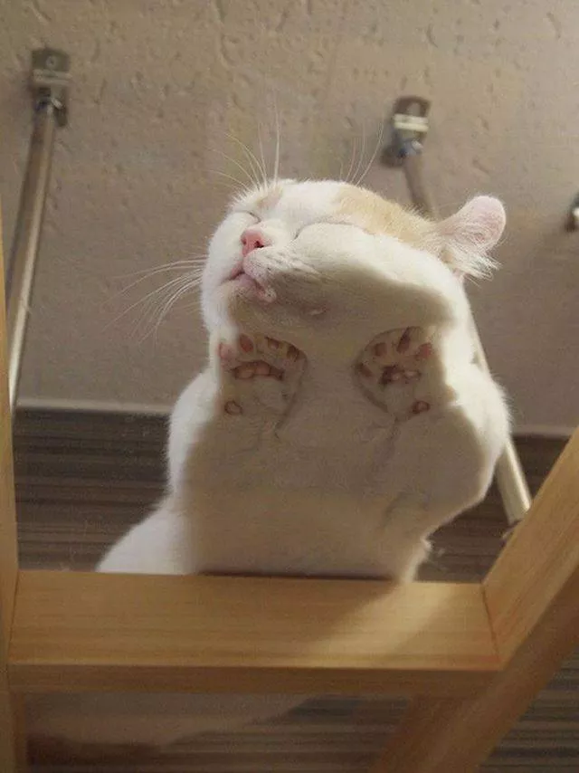 Best pictures ever - #32 