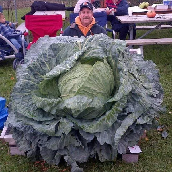 Best pictures ever - #34 