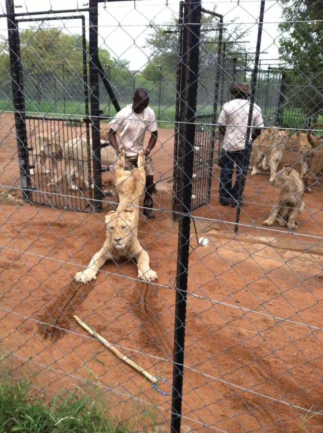 Best pictures ever - #36 