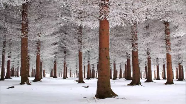 Les meilleures photos jamais vu - #54 