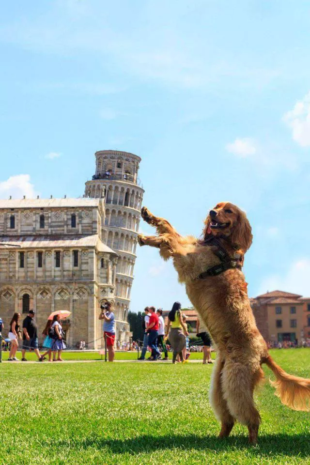 Best pictures ever - #58  Best pictures ever - #58