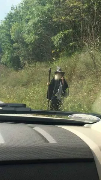 Picdump 216 - #18 