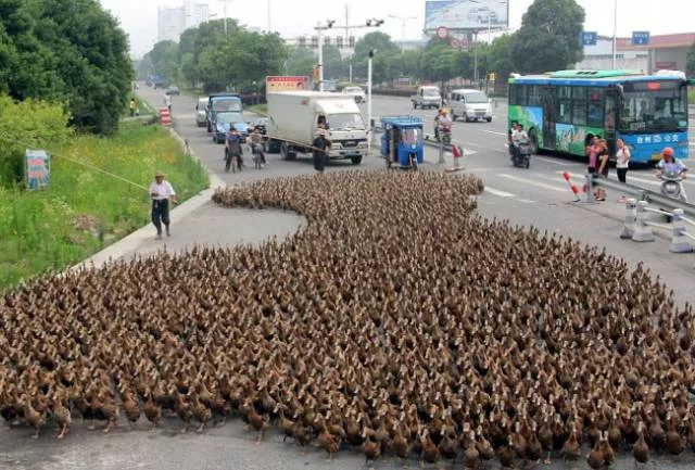 Picdump 216 - #19 