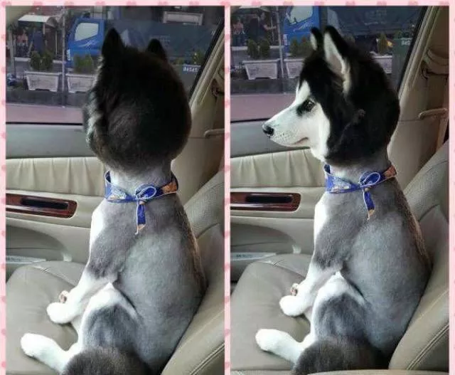Picdump 216 - #40 
