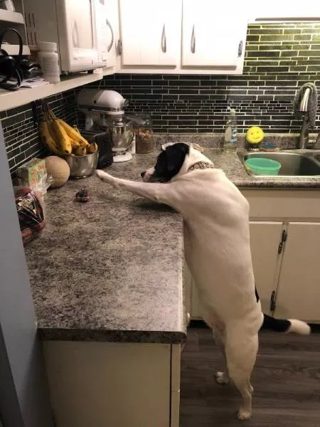 Picdump 216 - #9 