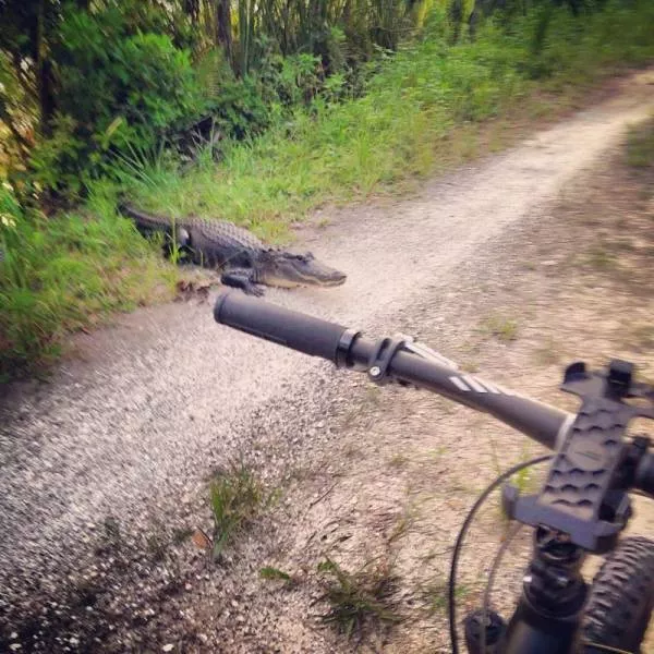 Picdump 217 - #15 