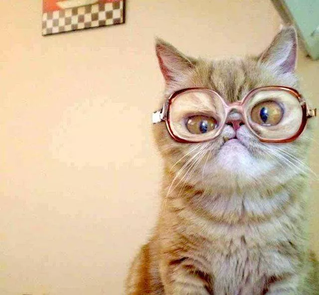 Picdump 217 - #62 