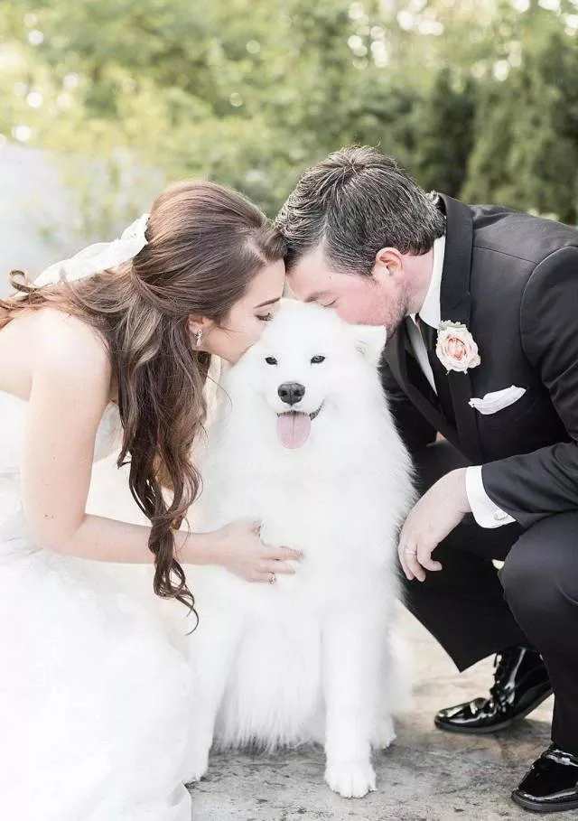Picdump 217 - #79 