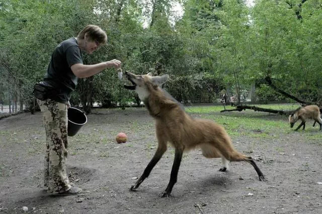 Picdump 217 - #90 