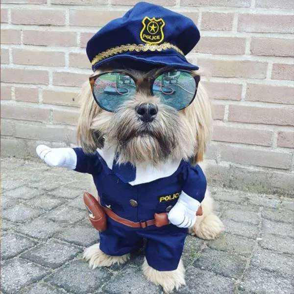 Picdump 217 - #92 