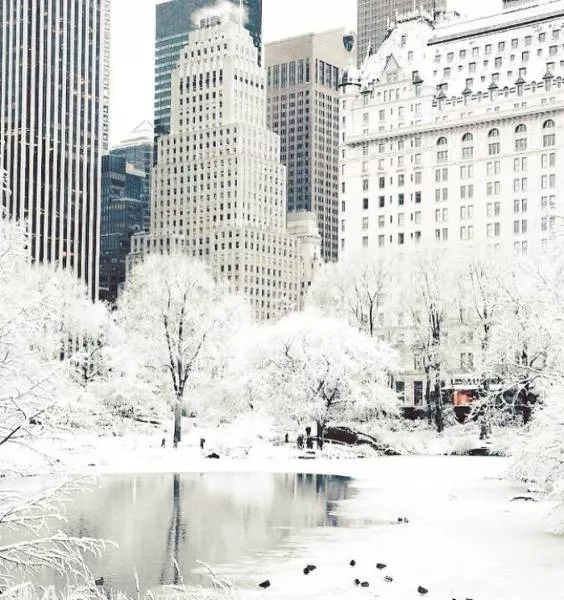 Us and canada freezing - #2 