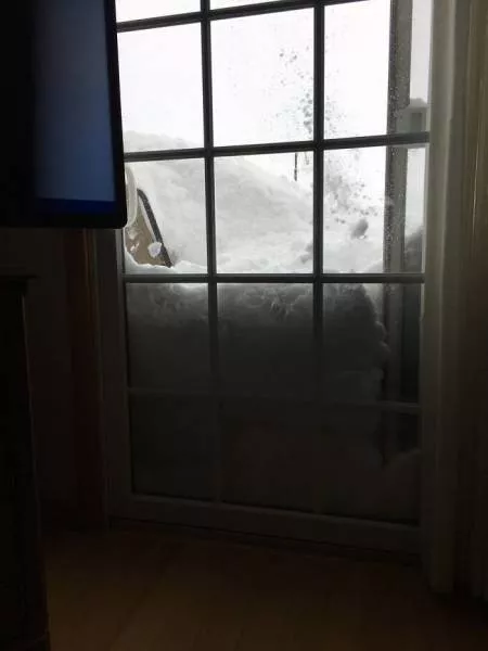 Us and canada freezing - #28 
