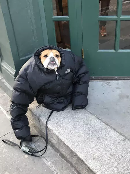Us and canada freezing - #3 