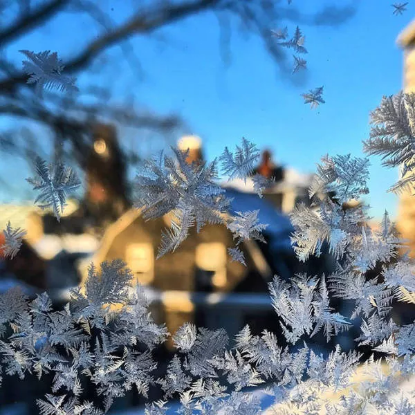 Us and canada freezing - #6 