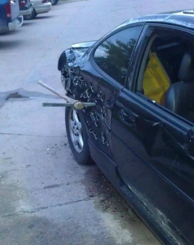 Picdump 218 - #24 