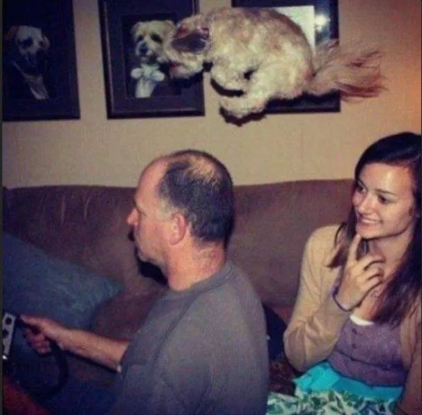 Picdump 218 - #53 
