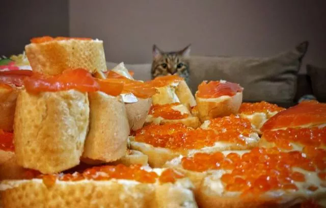 Picdump 218 - #54 