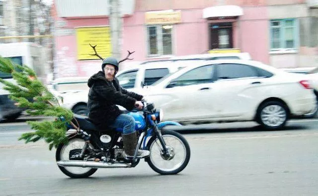 Picdump 218 - #85 