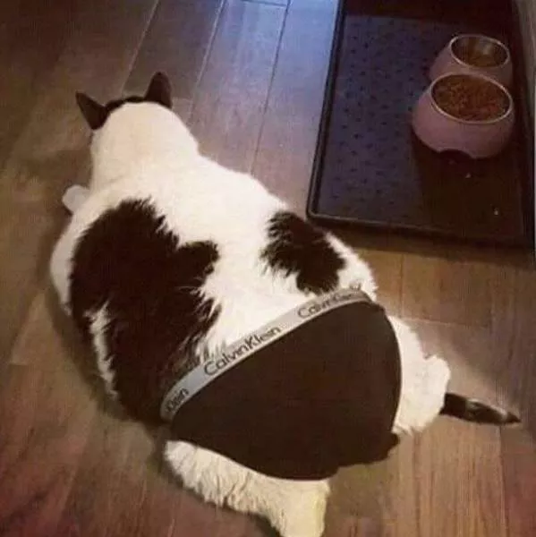 Picdump 219 - #2 