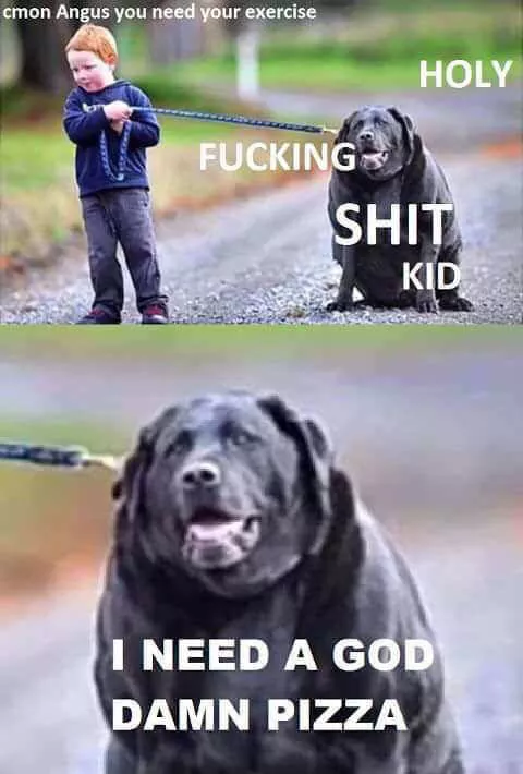 Picdump 219 - #49 