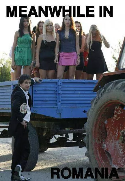 Picdump 219 - #8 