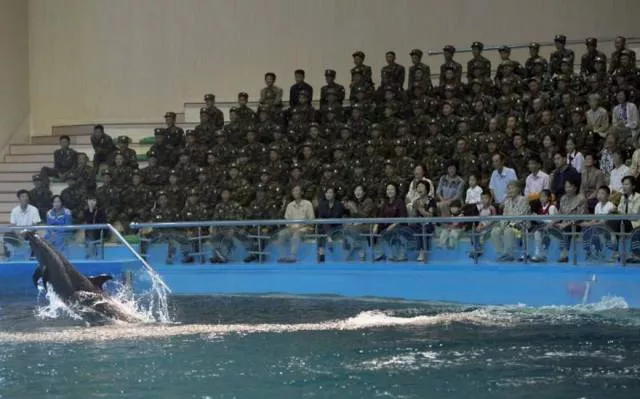 North korea as you have never seen it - #13 