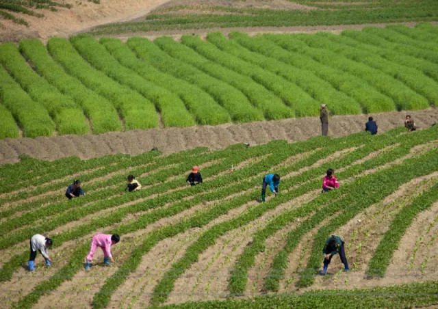 North korea as you have never seen it - #29 