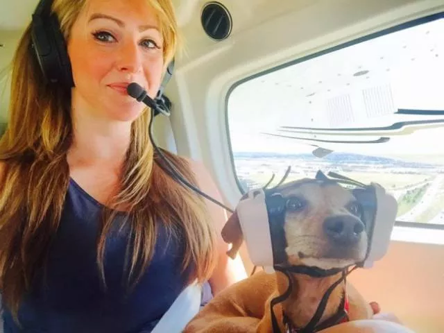 Animals in flight - #20 