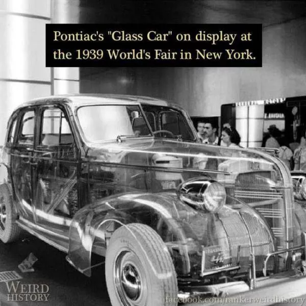 The weirdest things made by our ancestors - #15 