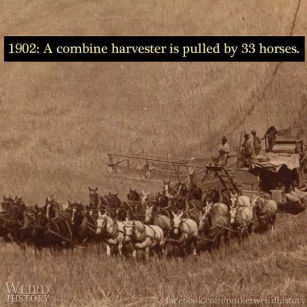The weirdest things made by our ancestors - #4 